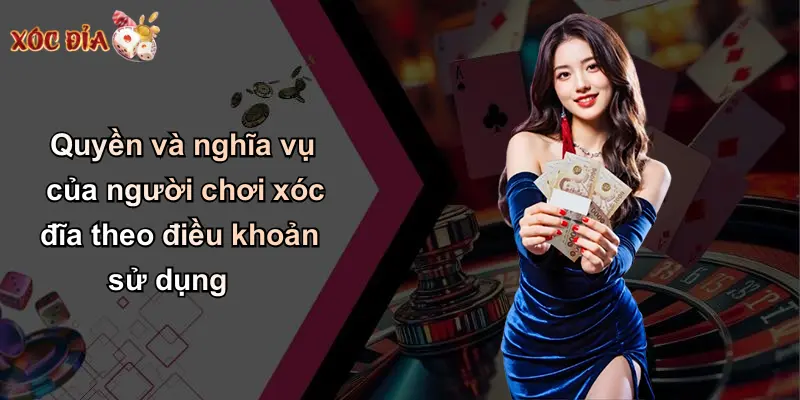 Quyền và nghĩa vụ của người chơi xóc đĩa theo điều khoản sử dụng