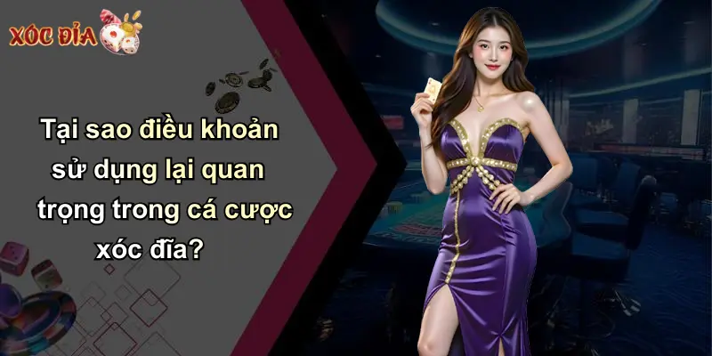 Tại sao điều khoản sử dụng lại quan trọng trong cá cược xóc đĩa?