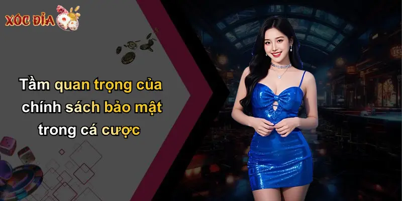 Tầm quan trọng của chính sách bảo mật trong cá cược