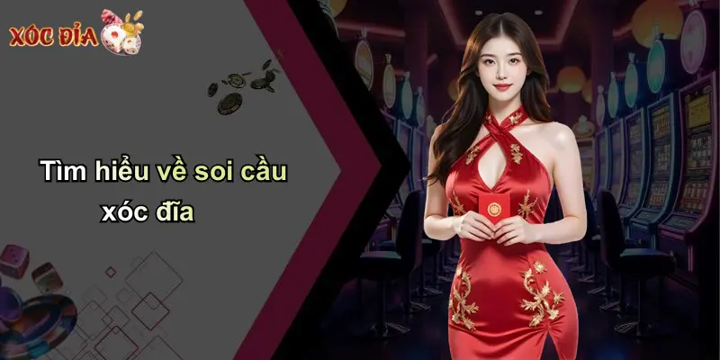 Tìm hiểu về soi cầu xóc đĩa