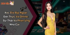 Xóc Đĩa Bịp Ngoài Đời Thực Và Online: Sự Thật Và Phản Ứng Nhà Cái