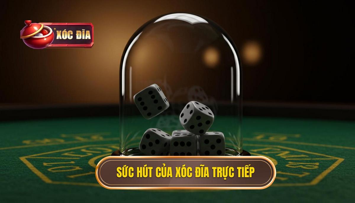 Phân Tích Sức Hút Đặc Biệt Của Xóc Đĩa Trực Tiếp