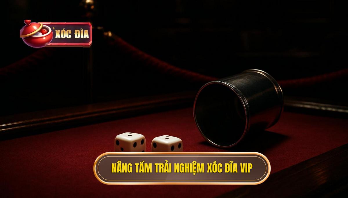 Nâng Tầm Trải Nghiệm_ Điều Gì Khiến Xóc Đĩa VIP Khác Biệt_