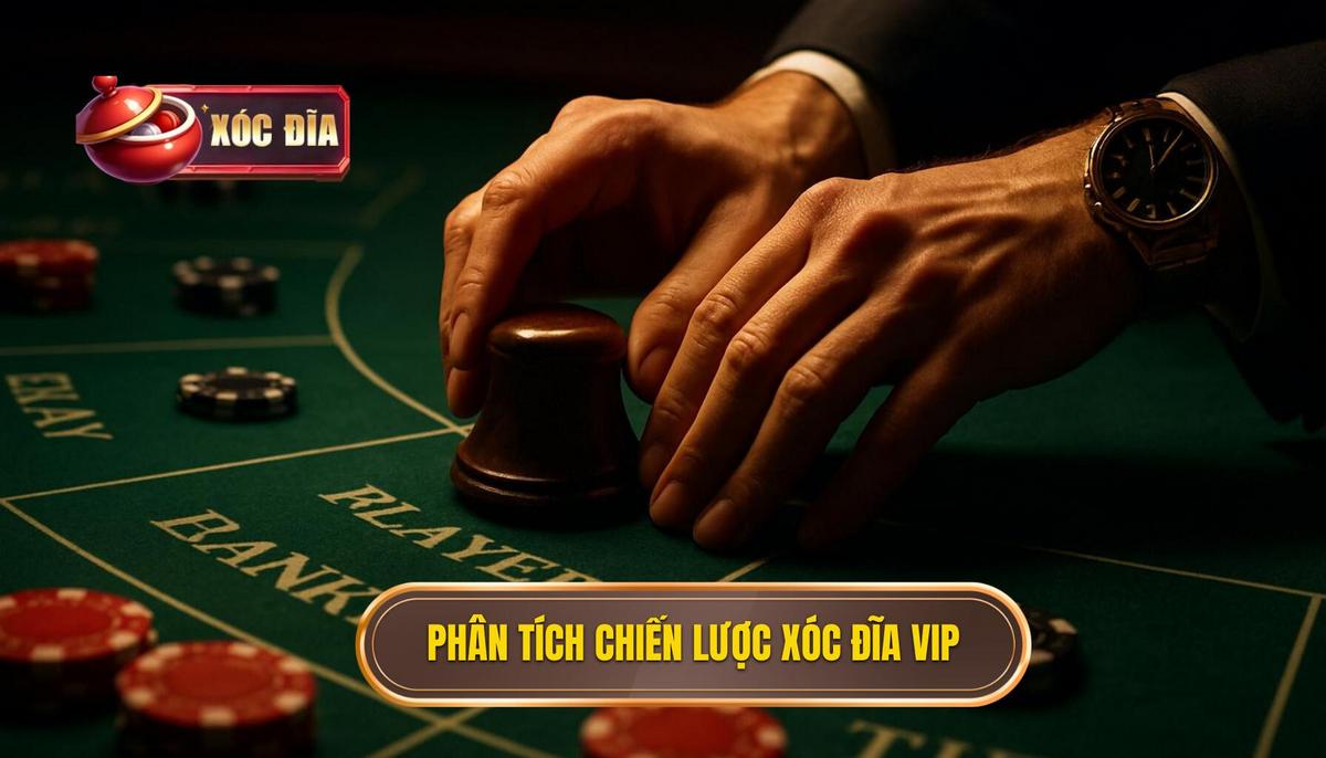 Phân Tích Chiến Lược Chuyên Sâu Cho Xóc Đĩa VIP