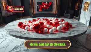 Khi Cầu Không Còn Dễ Đọc: Bí Quyết Sinh Tồn Tại Xóc Đĩa